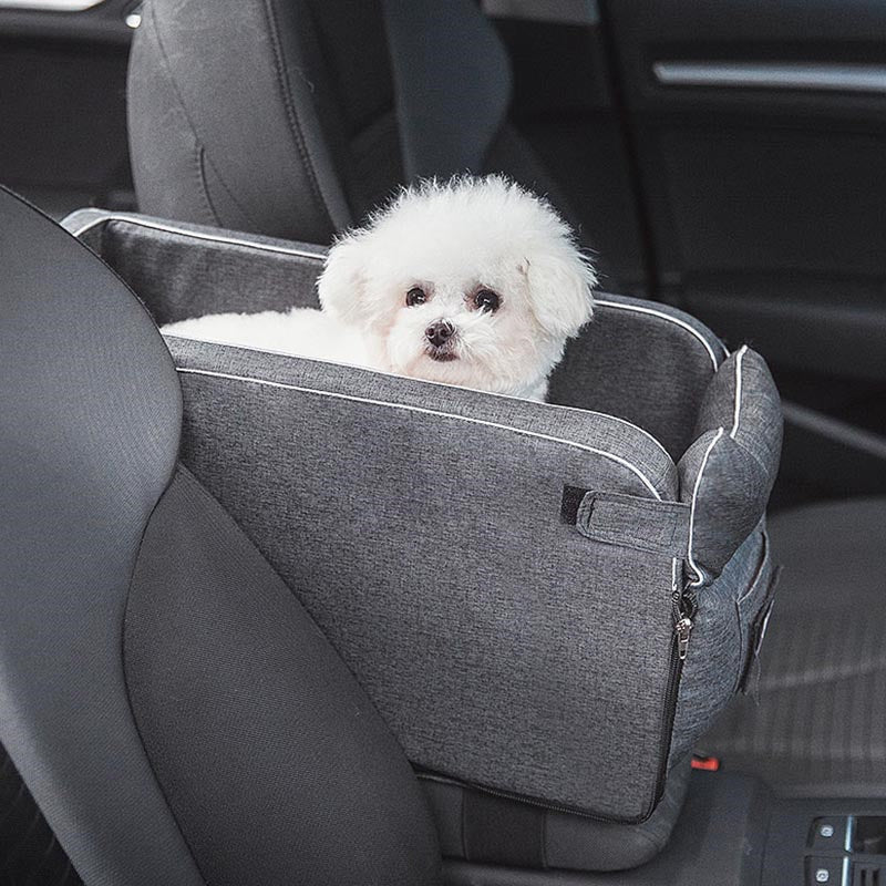 Small white dog resting in a car booster seat