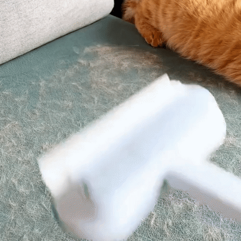 Strumento 3-in-1 Petclean Pro per rimuovere i peli degli animali