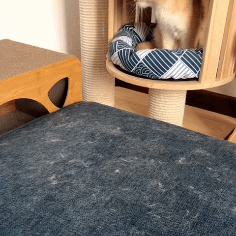 Strumento 3-in-1 Petclean Pro per rimuovere i peli degli animali