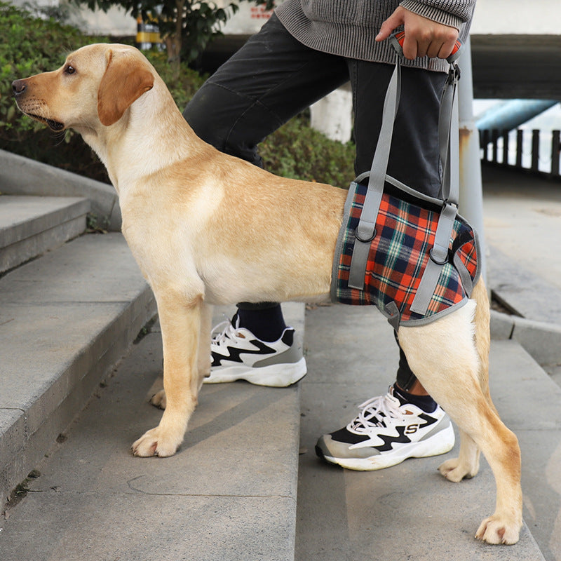 Pet Recovery Sling — Dog Lift Harness with Carry Handle