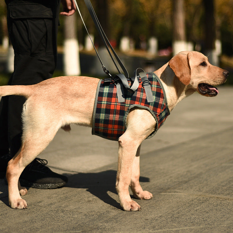 Pet Recovery Sling — Dog Lift Harness with Carry Handle