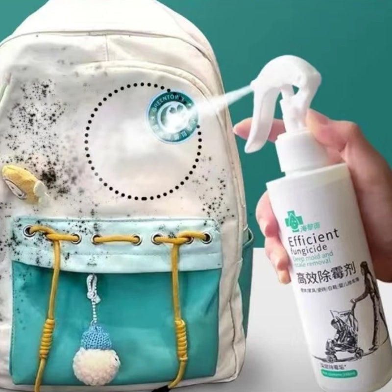 Nettoyant concentré contre les moisissures