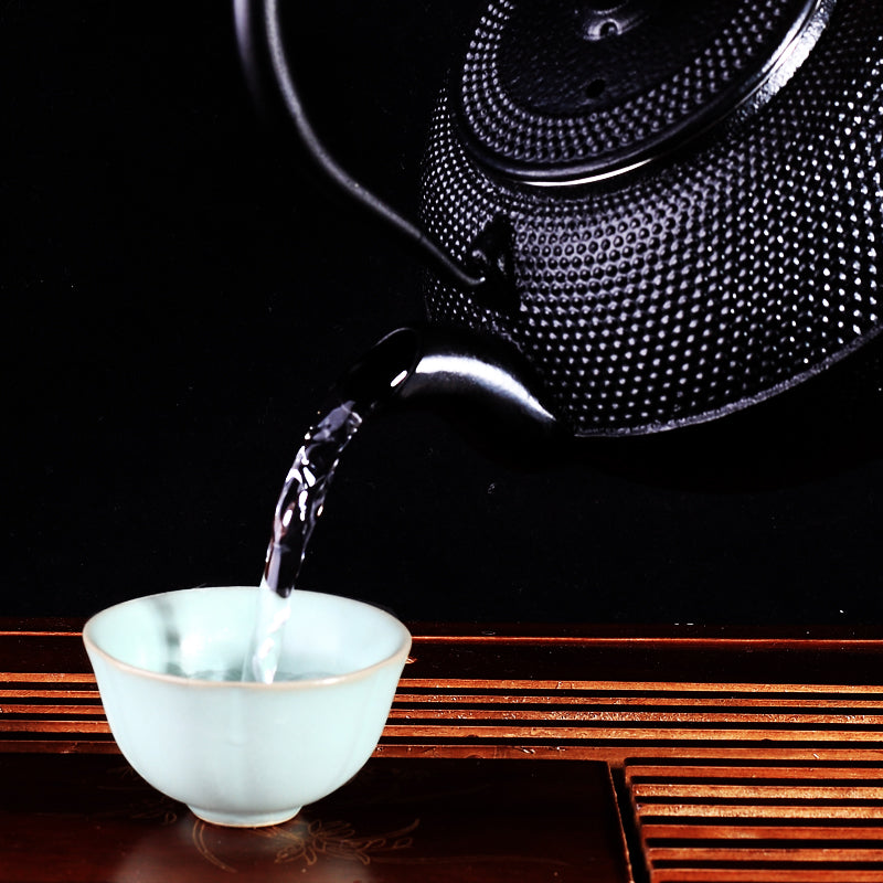 Théière japonaise Koto en fonte noire