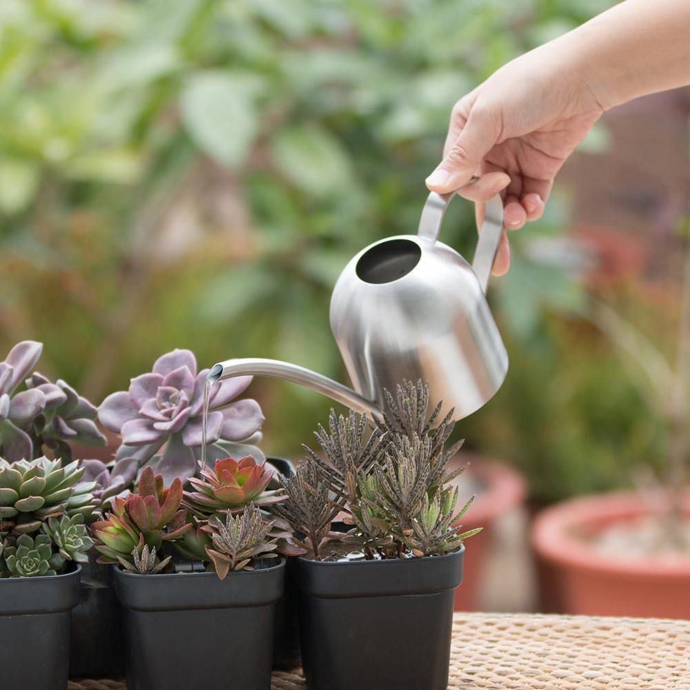 Regadera AquaGrace de acero inoxidable resistente al óxido — Pico flexible, diseño moderno