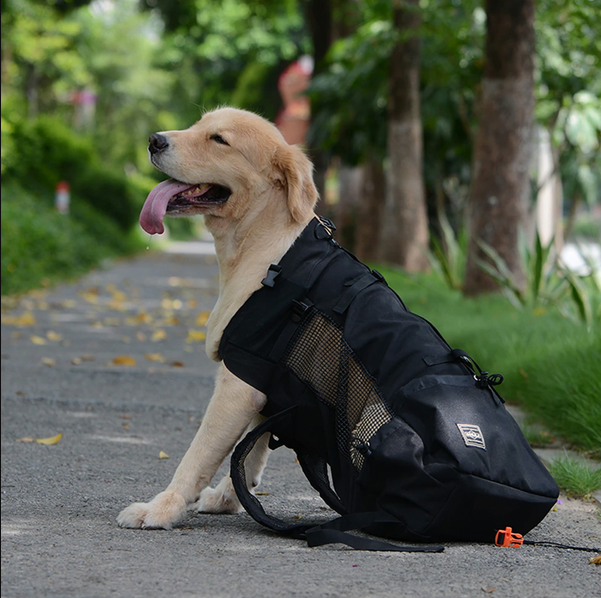 Adjustable Padded Dog Backpack Carrier