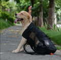 Adjustable Padded Dog Backpack Carrier