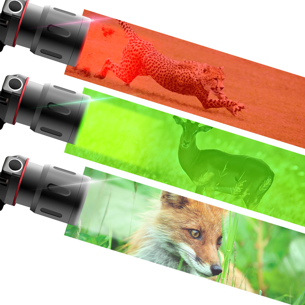Lampe frontale LED rechargeable puissante - modes d'éclairage blanc, rouge et vert, chargement USB, fonctionnement sur batterie
