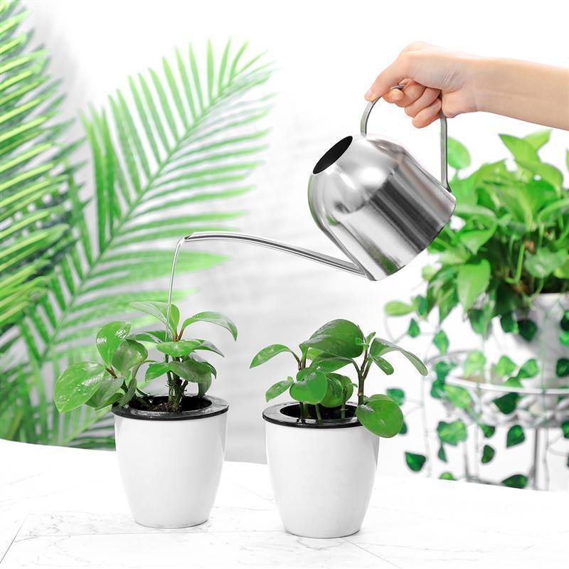 Regadera AquaGrace de acero inoxidable resistente al óxido — Pico flexible, diseño moderno