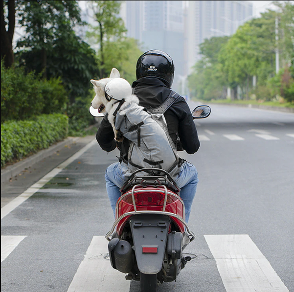 Adjustable Padded Dog Backpack Carrier