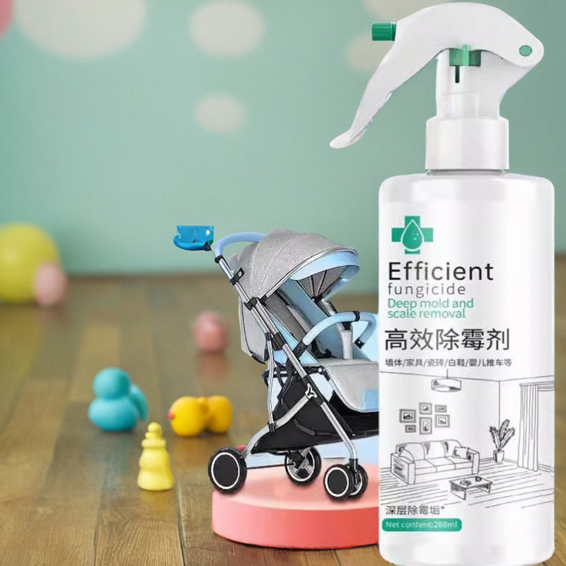 Nettoyant concentré contre les moisissures
