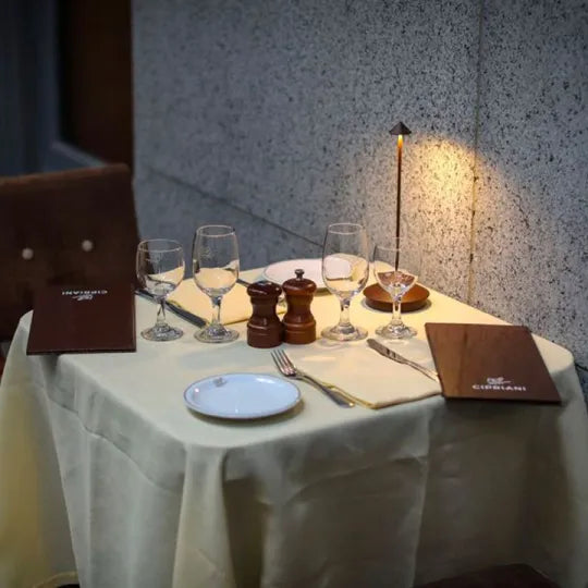 Corpuri de iluminat decorative cu fir Spikelight, impermeabile și cu intensitate reglabilă