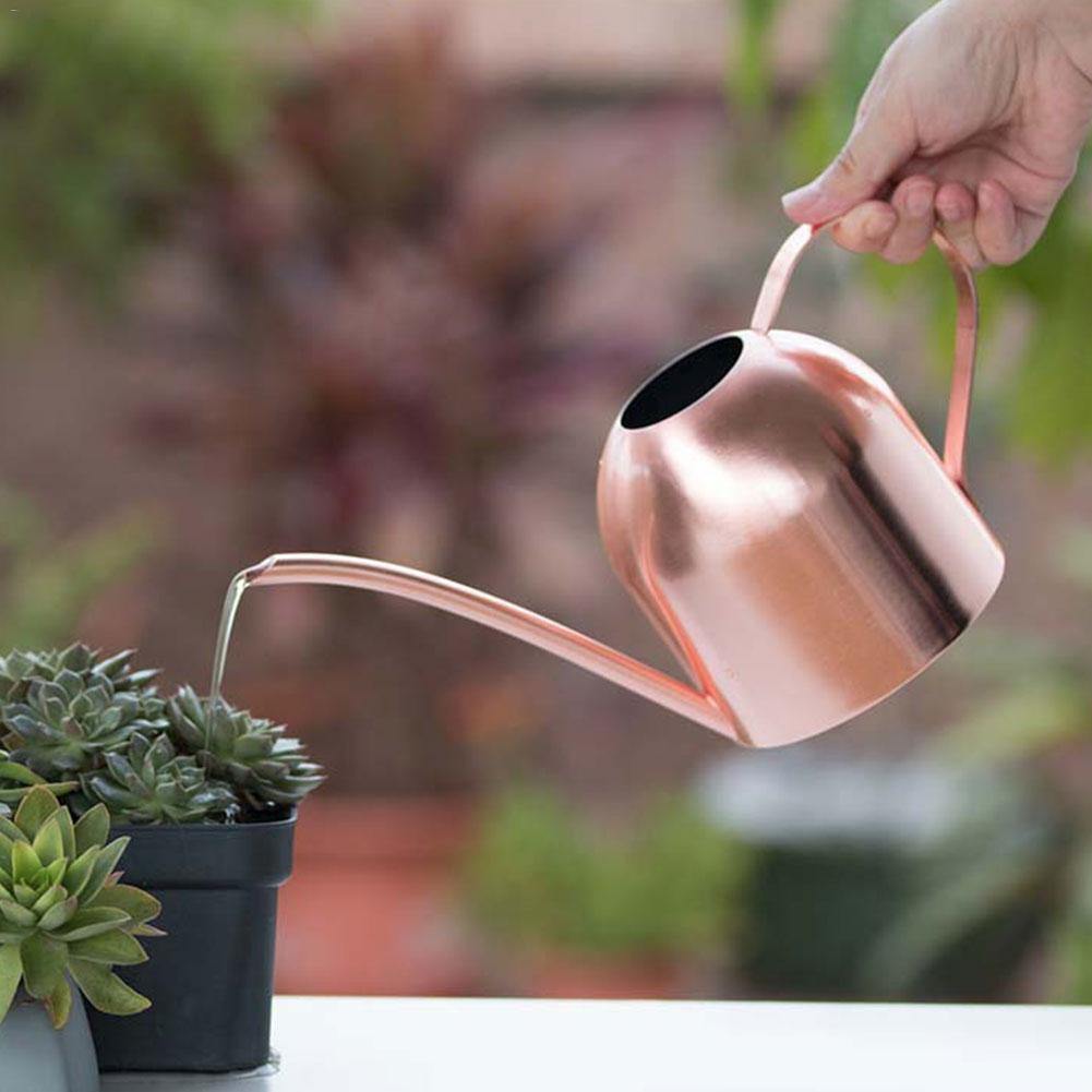 Regadera AquaGrace de acero inoxidable resistente al óxido — Pico flexible, diseño moderno