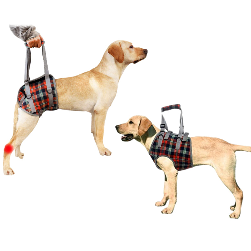 Pet Recovery Sling — Dog Lift Harness with Carry Handle
