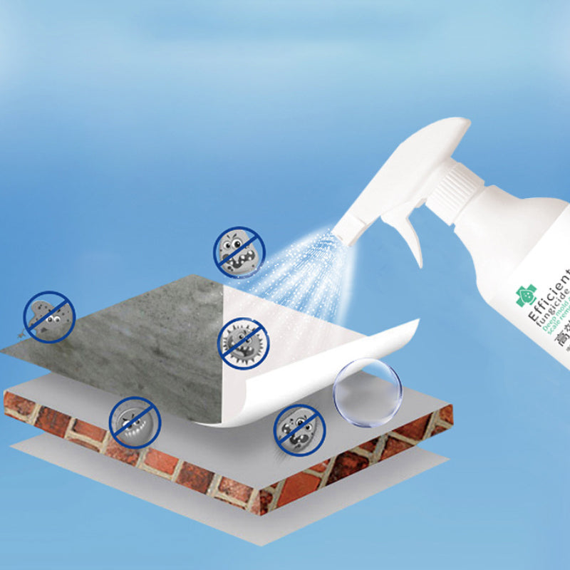 Nettoyant concentré contre les moisissures