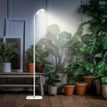 MistyJungle Full Spectrum Standing LED Grow Light — 60 Inch Height Adjustable, 10 Level Dimmable, Auto Timer, White Halo LED