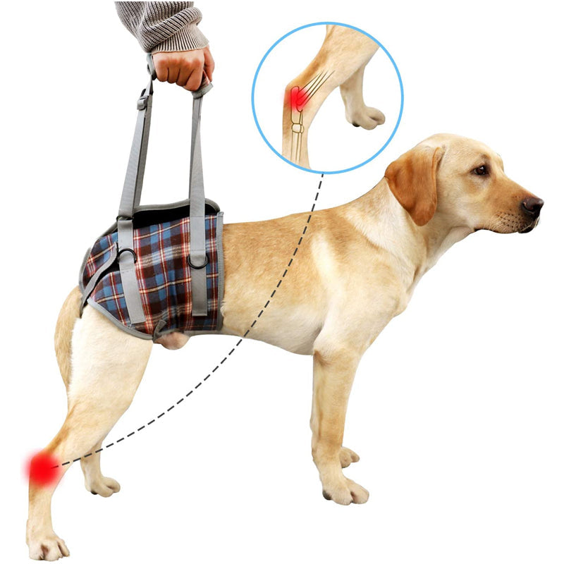 Pet Recovery Sling — Dog Lift Harness with Carry Handle
