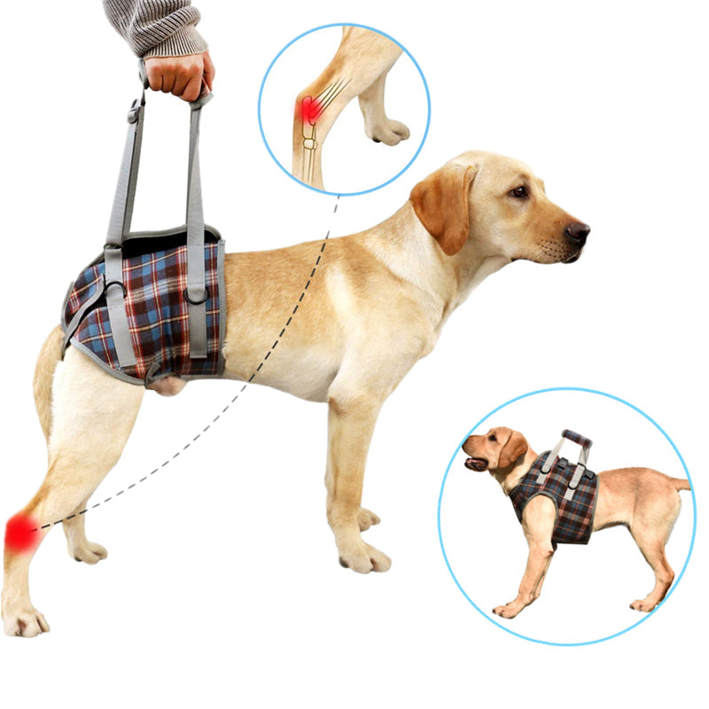 Pet Recovery Sling — Dog Lift Harness with Carry Handle