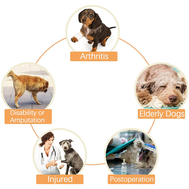 Pet Recovery Sling — Dog Lift Harness with Carry Handle
