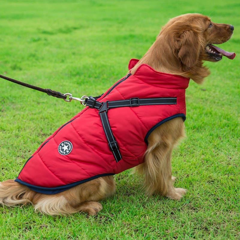 Waterproof Winter Dog Jacket — Integrated Harness Design
