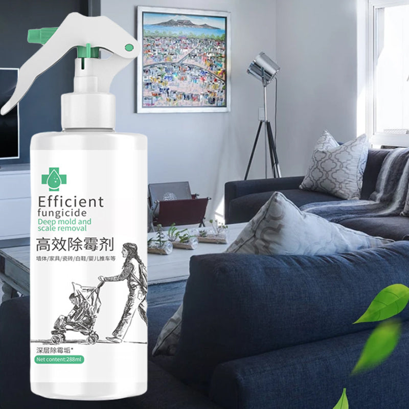 Nettoyant concentré contre les moisissures