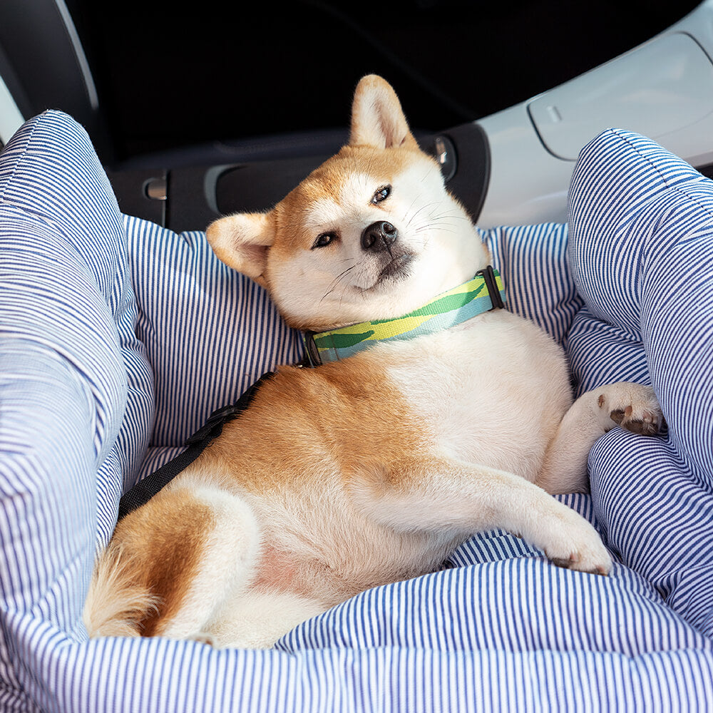 Seggiolino rialzato per animali Seter per viaggi in auto — Cinghie di sicurezza regolabili