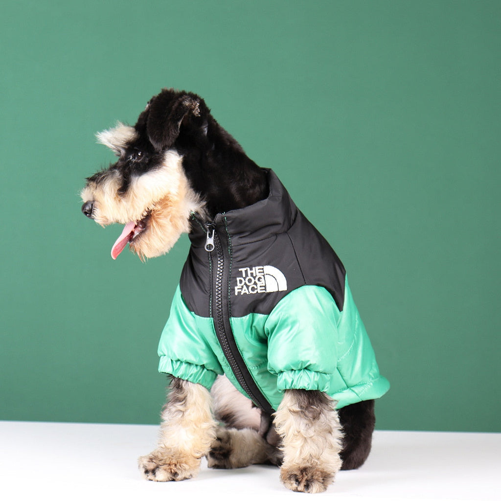 Type A Dog Face Jacket — Structured Silhouette & Signature Branding