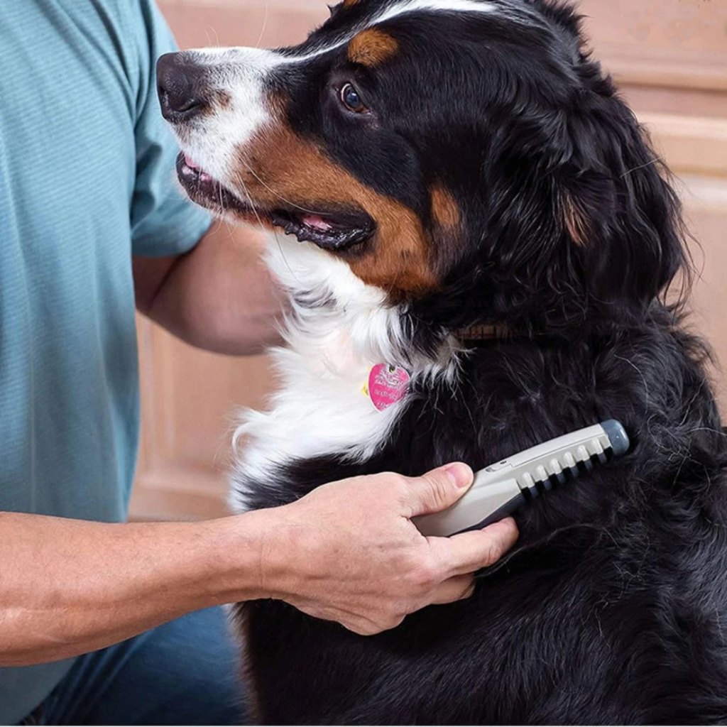 Recortadora para quitar nudos y enredos de mascotas — Diseño de peine suave e indoloro para gatos y perros