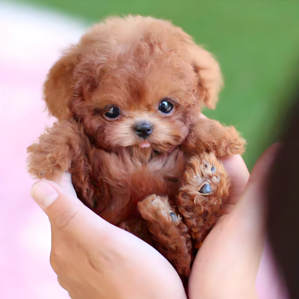 Robot Puppy Toy — Walks Barks Sits Responds To Sound And Touch