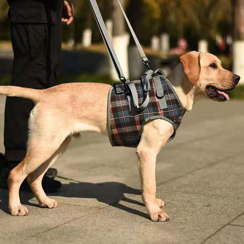 Pet Recovery Sling — Dog Lift Harness with Carry Handle