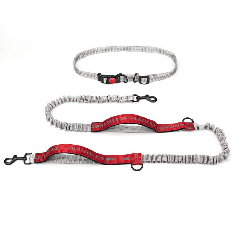 Laisse télescopique pour chien à double poignée - Poignée pliable, longueur réglable