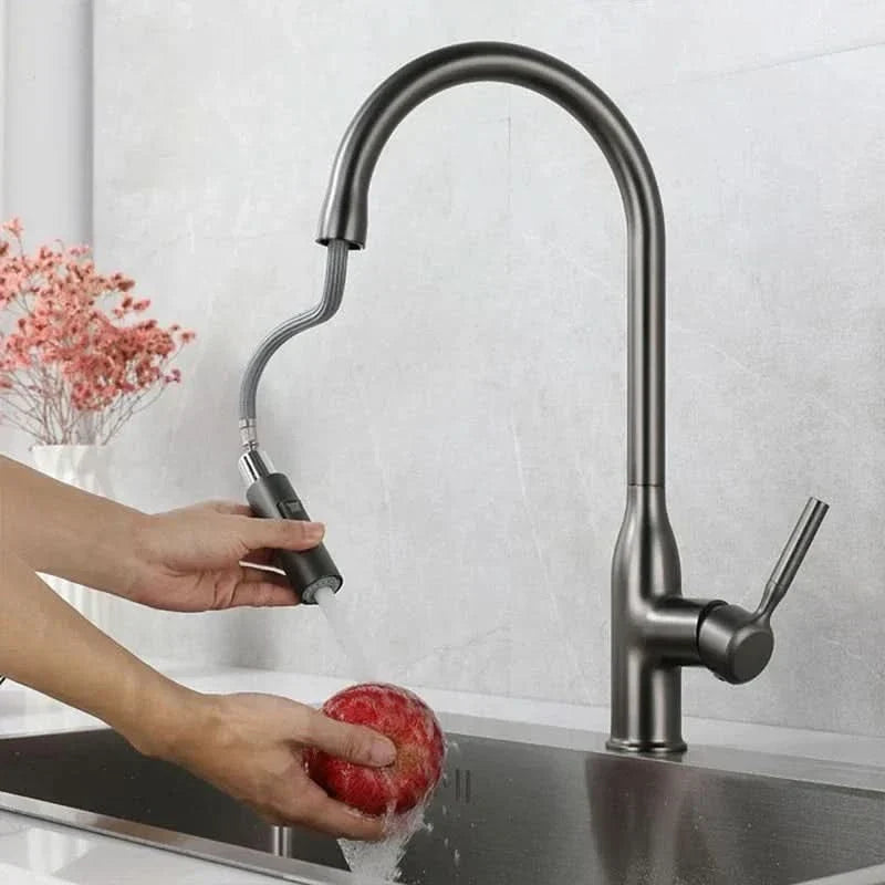 Brushed Stainless Steel Kitchen Faucet — Pull-Out Spray Head