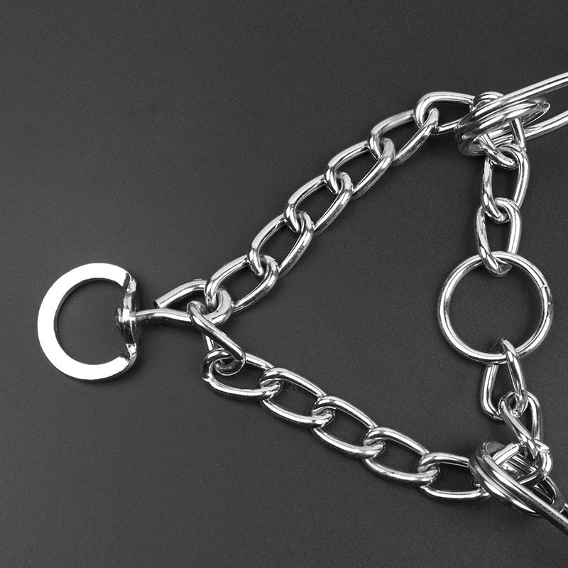 Hund Pincher Krage - Stil B Adjustable Prong Training Collar
