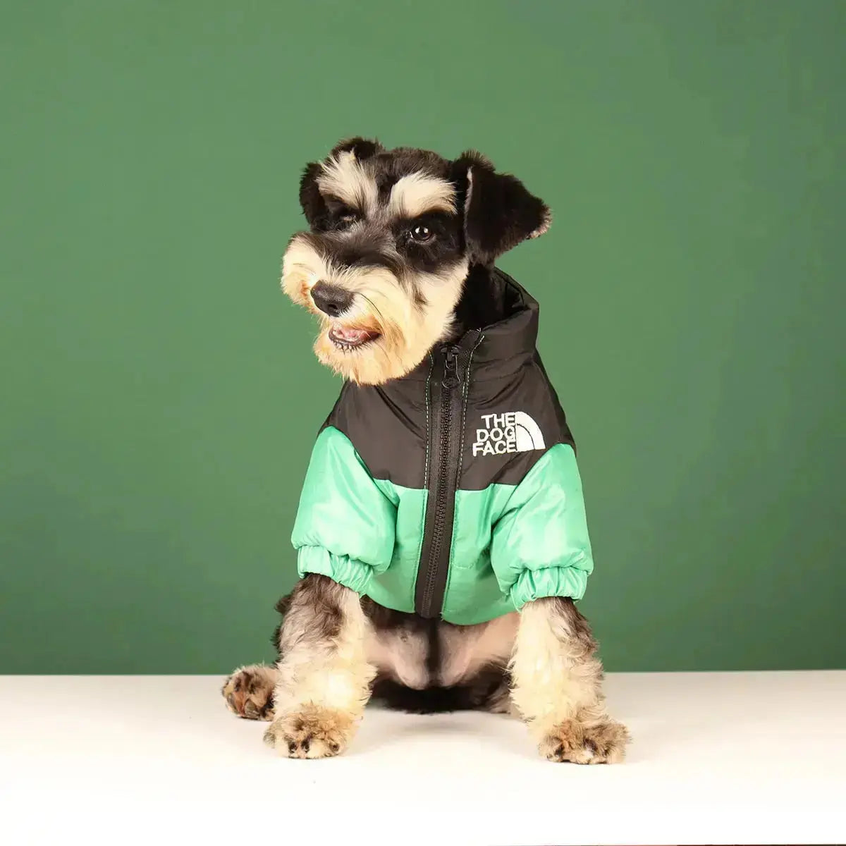 Type A Dog Face Jacket — Structured Silhouette & Signature Branding