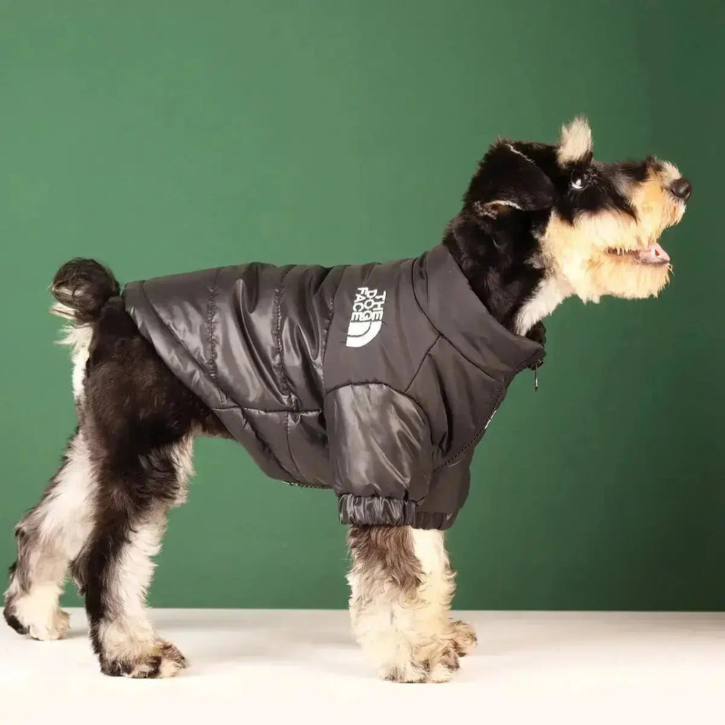 Type A Dog Face Jacket — Structured Silhouette & Signature Branding