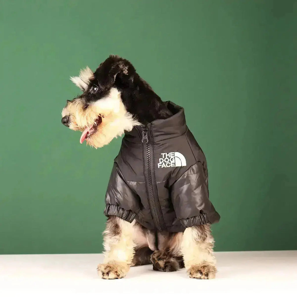 Type A Dog Face Jacket — Structured Silhouette & Signature Branding