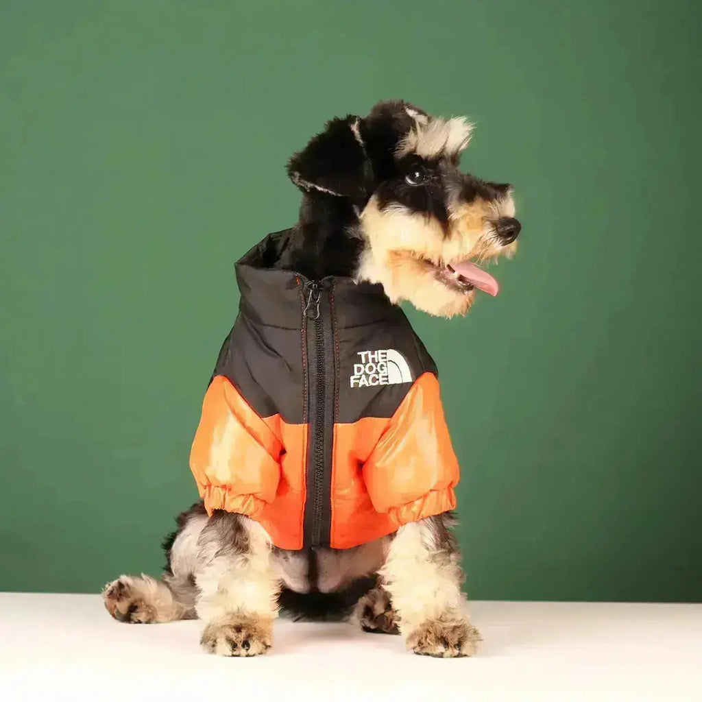 Type A Dog Face Jacket — Structured Silhouette & Signature Branding
