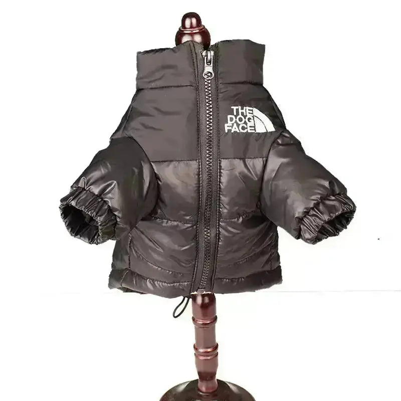 Type A Dog Face Jacket — Structured Silhouette & Signature Branding