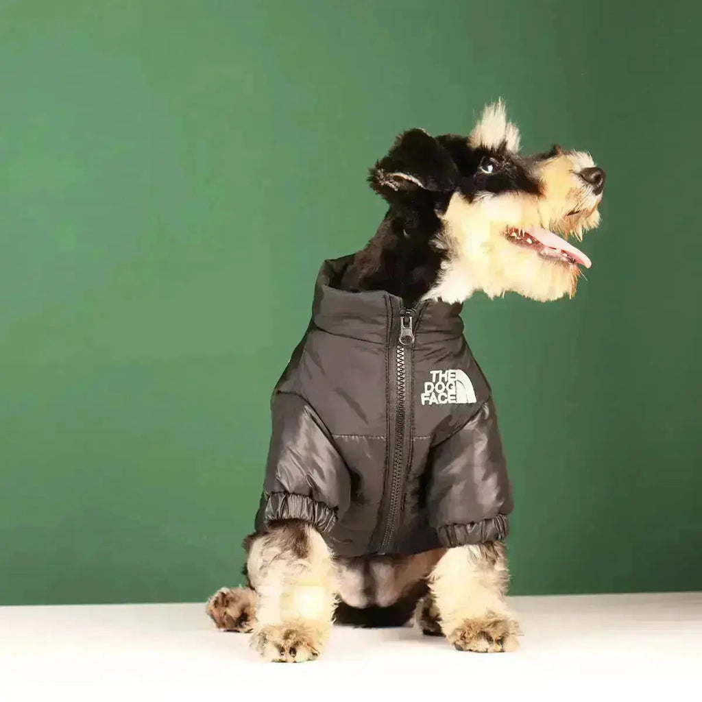 Type A Dog Face Jacket — Structured Silhouette & Signature Branding