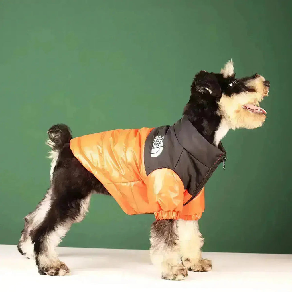 Type A Dog Face Jacket — Structured Silhouette & Signature Branding