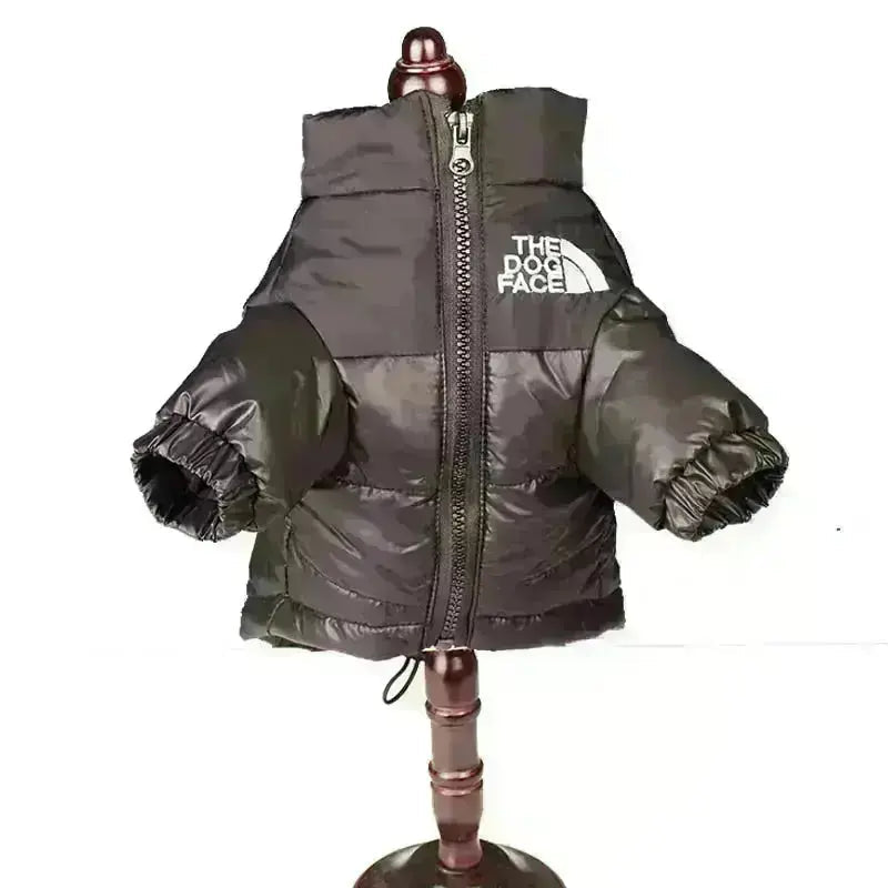 Type A Dog Face Jacket — Structured Silhouette & Signature Branding