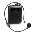 Portable Voice Amplifier Speaker — Audio Recording, Music Playback, Compact Design