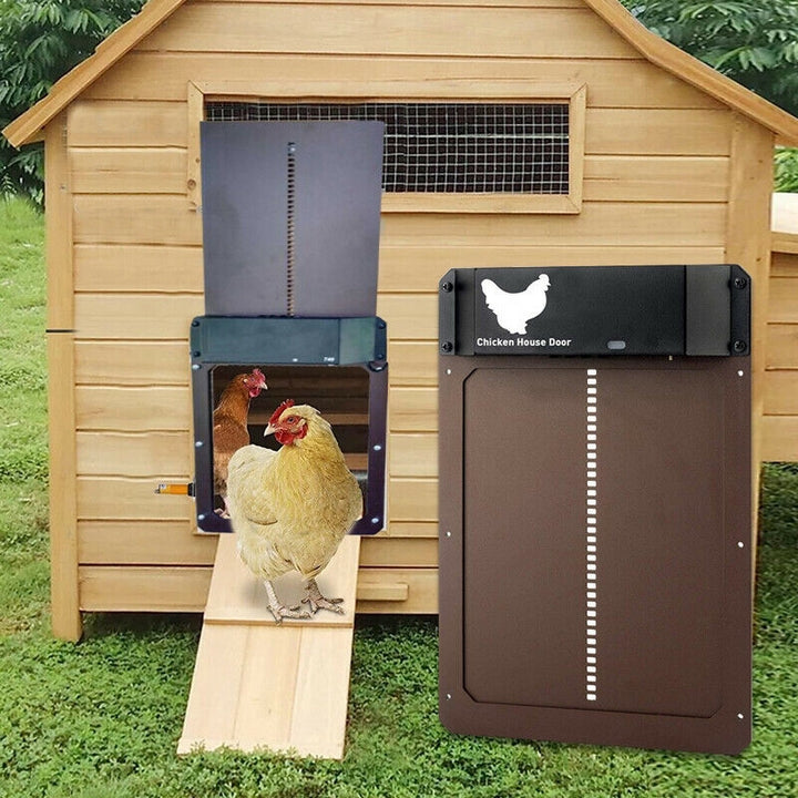 Automatische Poultry PRO+-Hühnertür — wasserdichtes Gehäuse, schnelle Montage