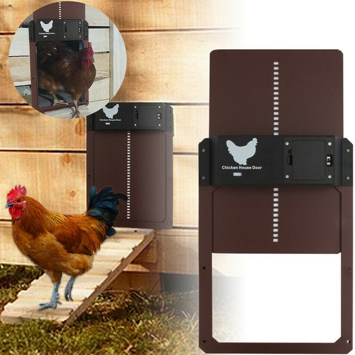 Automatische Poultry PRO+-Hühnertür — wasserdichtes Gehäuse, schnelle Montage