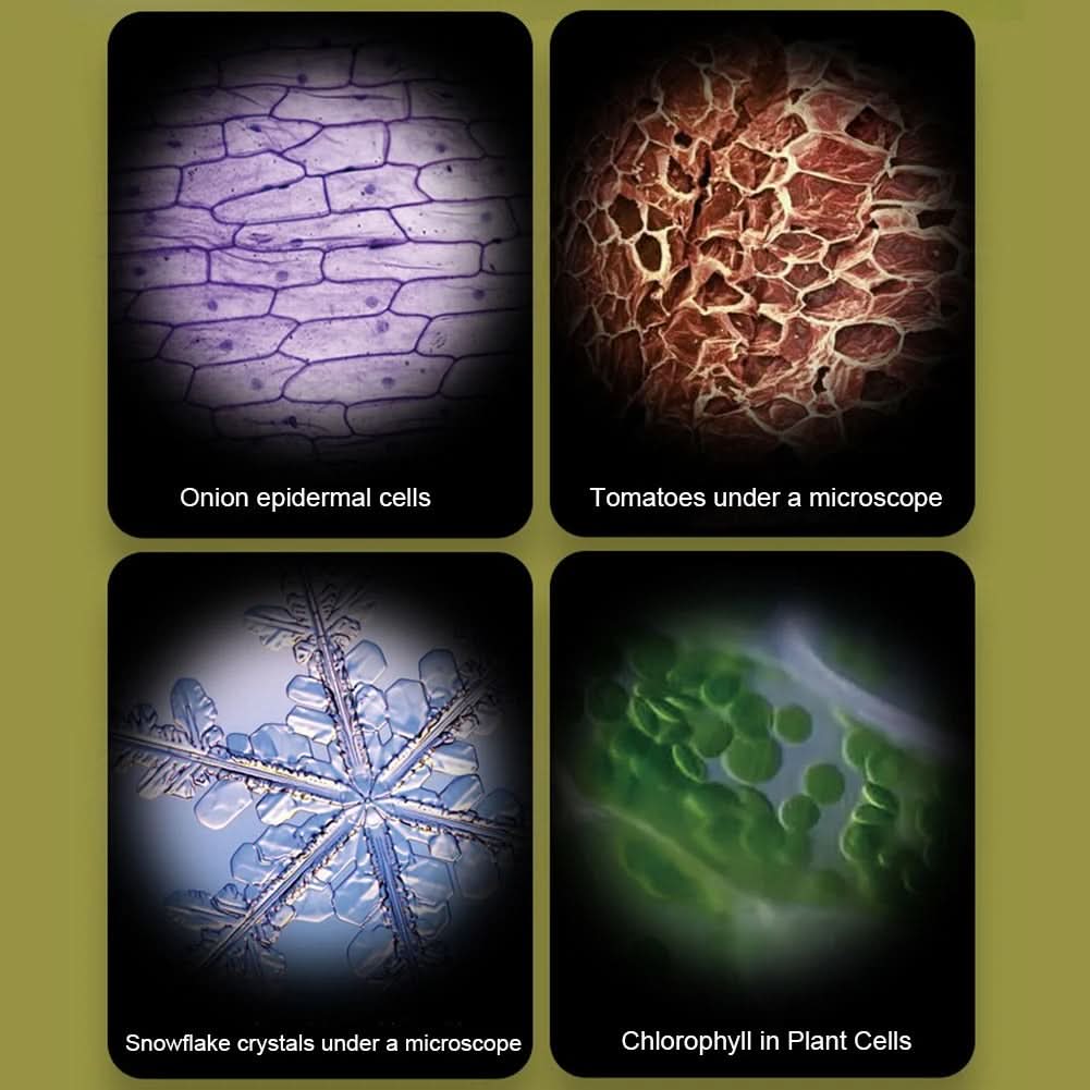 Microscopio portatile ExplorerLens — Design compatto tascabile