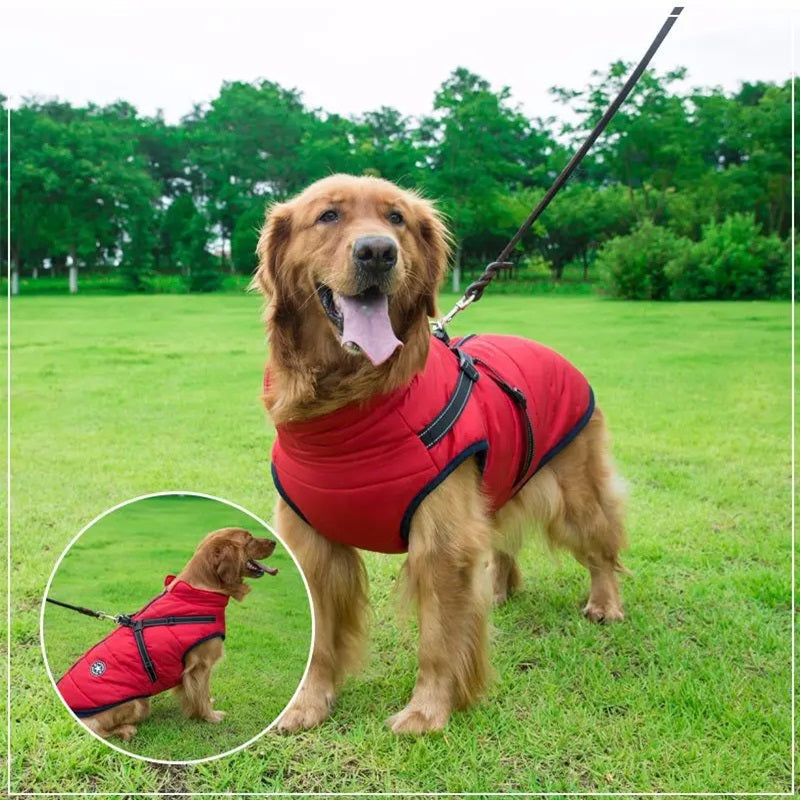 All-In-One Dog Jacket — Waterproof, Integrated Reflective Harness