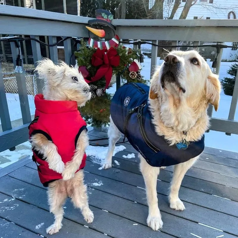 All-In-One Dog Jacket — Waterproof, Integrated Reflective Harness