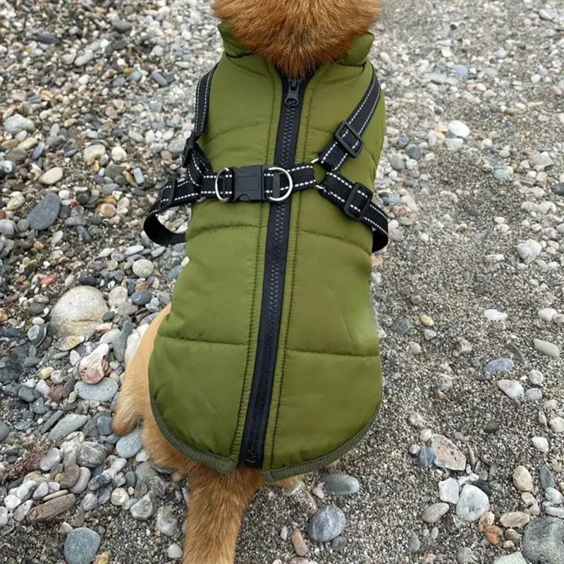 All-In-One Dog Jacket — Waterproof, Integrated Reflective Harness