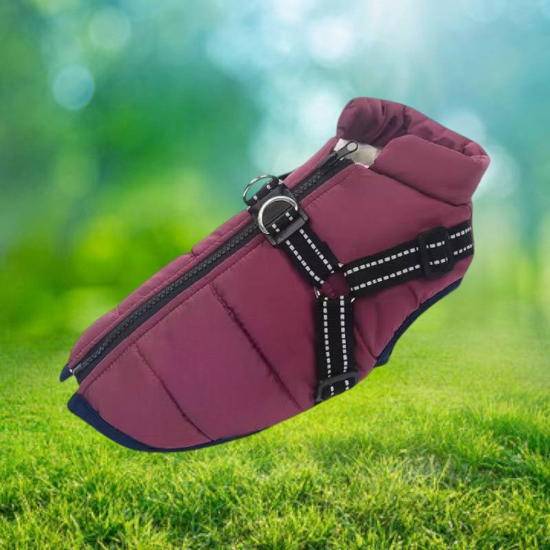 All-In-One Dog Jacket — Waterproof, Integrated Reflective Harness