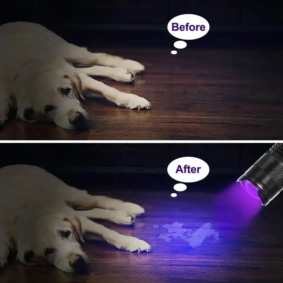 Lanterna UV LED compacta — lâmpada de inspeção ultravioleta resistente, iluminação LED potente