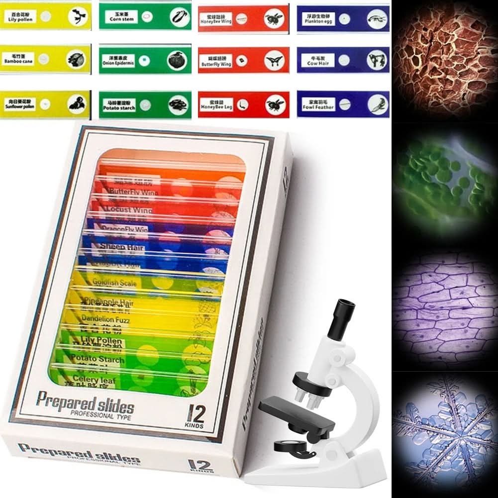 Microscopio portatile ExplorerLens — Design compatto tascabile